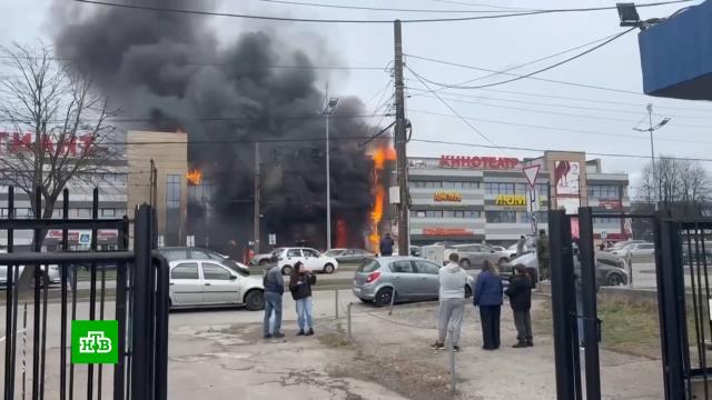 ������� �������: ����������� �� ������ ��������� �������� � ������� ������.�����������, ������ � ����������.���.Ru: �������, �����, ��������� ���������� ���