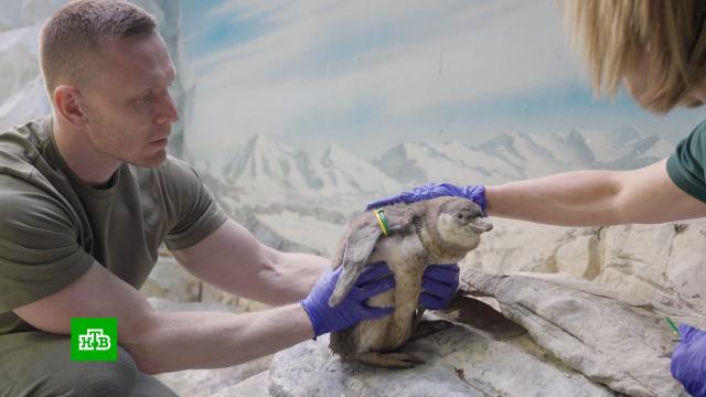 ���������� ���������� �������� �&nbsp;���������� ��������.������, ��������, ��������, �����.���.Ru: �������, �����, ��������� ���������� ���