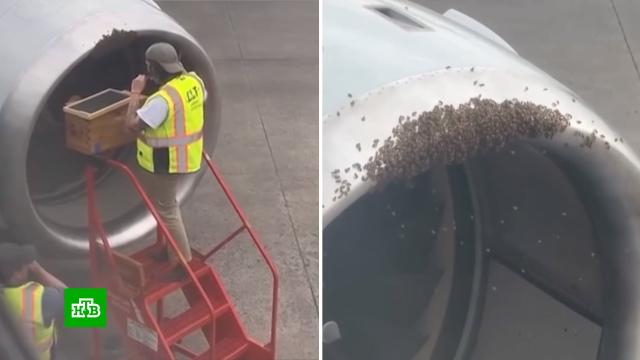 �������� ��� ������� ��������� �������� �&nbsp;�������� ���� �&nbsp;��������� ���.���, ���������, �������, �����, ��������.���.Ru: �������, �����, ��������� ���������� ���