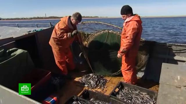 ������������� ������ ����������, ��� ��������� ����� �������.������������� �������, �����-���������, ����� � �������, ���� � �����, ���� � �����������.���.Ru: �������, �����, ��������� ���������� ���