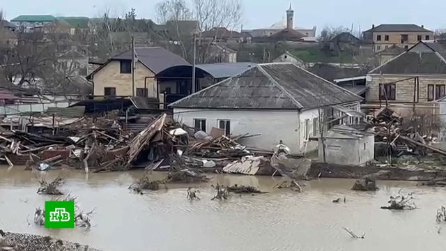 �&nbsp;��������� ��������� �&nbsp;����� ����� ��������.��������, �����, ����������.���.Ru: �������, �����, ��������� ���������� ���