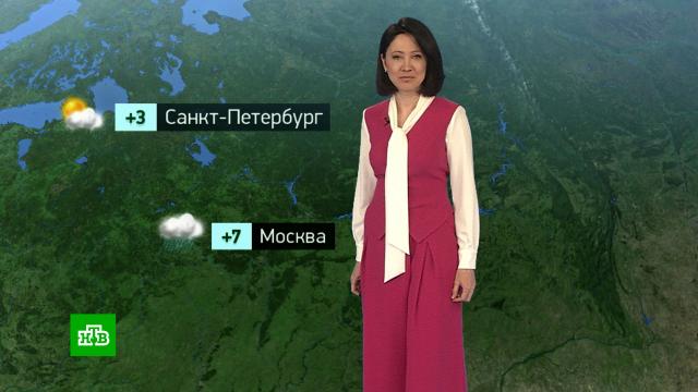 �������� ������� ������ �� 8&nbsp;������.������, ������� ������.���.Ru: �������, �����, ��������� ���������� ���