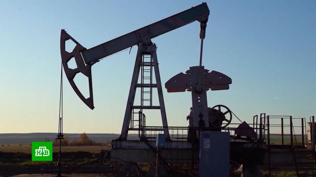 �������� ���������� ������� � ������� ��� �� �����: ��� ���� ���������� ������.����, ���������� �����, �����, ������ � ����, ��������� ������, ������ ��, ���������.���.Ru: �������, �����, ��������� ���������� ���