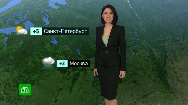 �������� ������� ������ �� 9&nbsp;������.������, ������� ������.���.Ru: �������, �����, ��������� ���������� ���