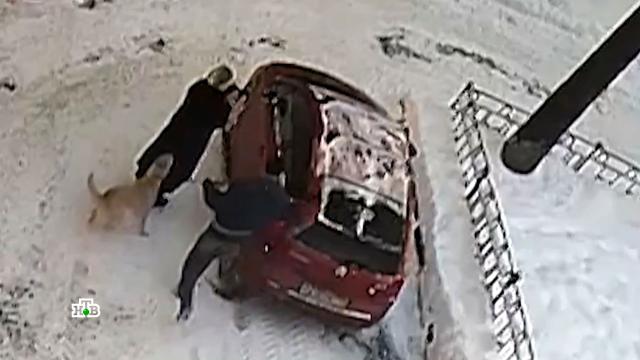 ��� � ������ ����������� ������, ���������� ���������� ����������� �����.��������, ����������������, ������.���.Ru: �������, �����, ��������� ���������� ���