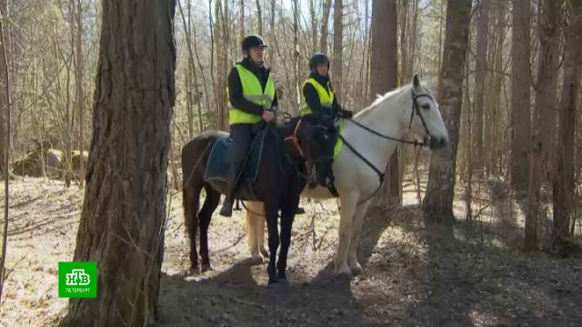 �����, ����� � ������: ��� ��������� ���������� ������ ������ ���������.������������� �������, ���������, ��������� ��������, ������.���.Ru: �������, �����, ��������� ���������� ���