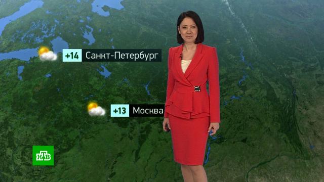 �������� ������� ������ �� 13&nbsp;������.������, ������� ������.���.Ru: �������, �����, ��������� ���������� ���