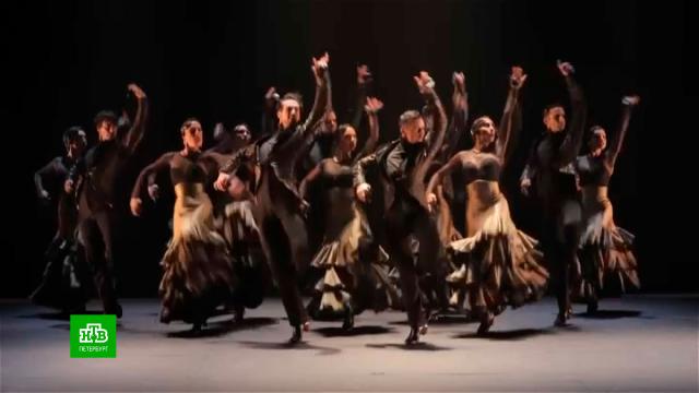 �������������� ��������: ��� ���������� ������ �������� Dance Open.�����-���������, �����, �����, ��������� � ��������.���.Ru: �������, �����, ��������� ���������� ���