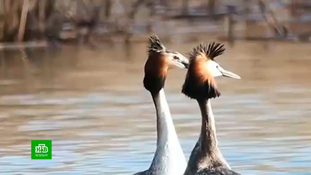 �&nbsp;���������� ����������� ������� ����� ����.�����-���������, �����, ��������, �����.���.Ru: �������, �����, ��������� ���������� ���