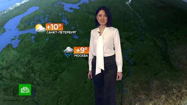 ������� ������ �� 18&nbsp;������.������, ������� ������.���.Ru: �������, �����, ��������� ���������� ���