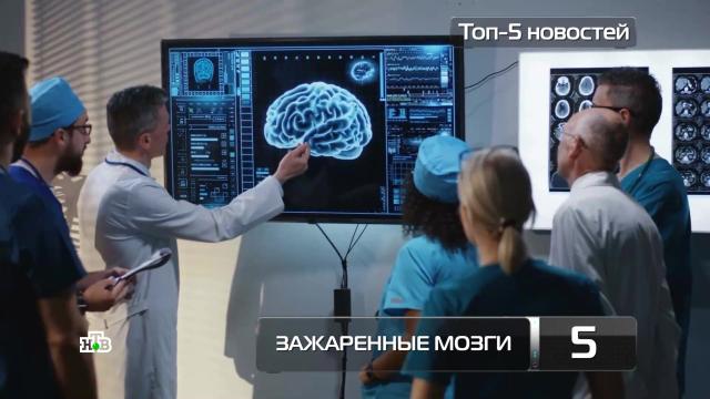 ������������� ���������� &laquo;����������� ����&raquo;.��������, ������������� ���������.���.Ru: �������, �����, ��������� ���������� ���