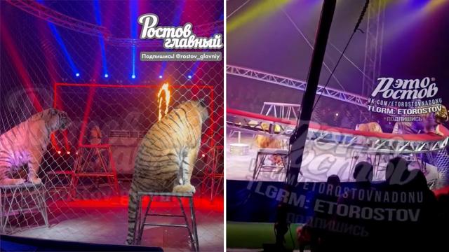 ���� ��������� �&nbsp;�������� ����������� �����.������-��-����, ��������, �����, ����.���.Ru: �������, �����, ��������� ���������� ���