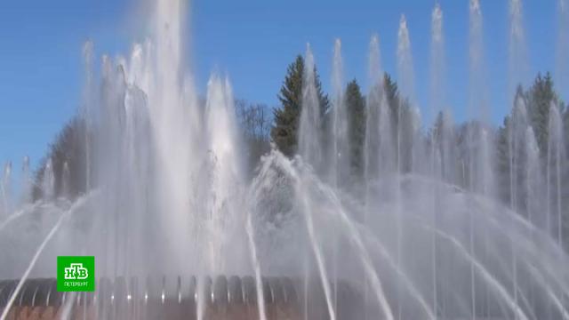 �&nbsp;���������� ������� ��������� �����.���, �����-���������, �������.���.Ru: �������, �����, ��������� ���������� ���