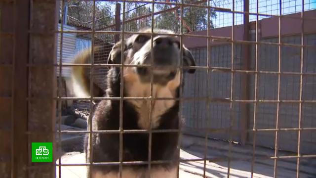 ������ ����� �� ������ ��������� �� ����� ����� �� ��� ������.������������� �������, ��������, �����, ������ ��� ��������, ������.���.Ru: �������, �����, ��������� ���������� ���