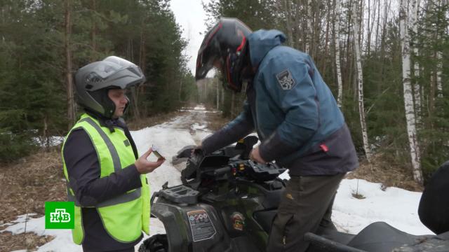 �� �����, �� � ������ ��������� ����: � ������ ������ �������� �� �����������.����������, ����������������.���.Ru: �������, �����, ��������� ���������� ���