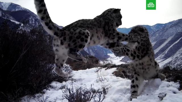 ����������� � ����������� ����� ���� ����� �������������� ������.������������ ����, ��������, �����������.���.Ru: �������, �����, ��������� ���������� ���