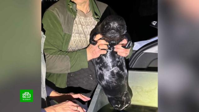 �&nbsp;&laquo;���� ������ ���������� �����&raquo; �������� ��������� �&nbsp;������� �� ���.������������� �������, �����������, ��������, ������ ��� ��������.���.Ru: �������, �����, ��������� ���������� ���