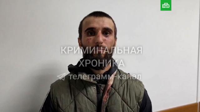 &laquo;������� �� �����&raquo;: �������� �� ������ �&nbsp;��������� ��� ������������� ���������.��������, ���������, ��������, �����, ���������.���.Ru: �������, �����, ��������� ���������� ���