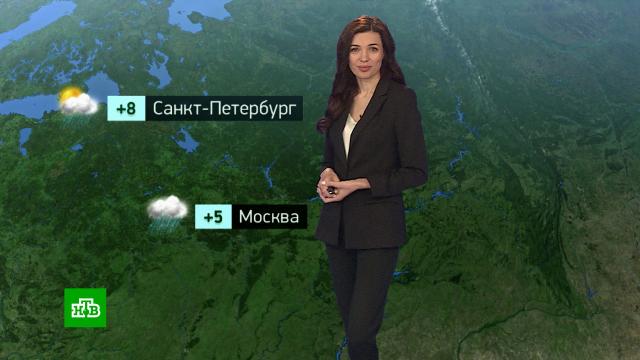 �������� ������� ������ �� 24&nbsp;������.���.Ru: �������, �����, ��������� ���������� ���