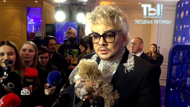 ������ ������, ������� � �������: ��� ������ ������ ����� ��������.������ ��������, �������, ��������, ������������, ���������.���.Ru: �������, �����, ��������� ���������� ���