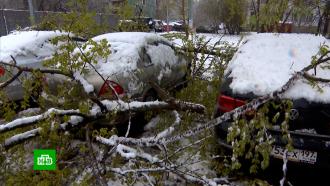 &laquo;������� �������� �� �����&raquo;: ��������&nbsp; �&nbsp;������ ���������� ���������