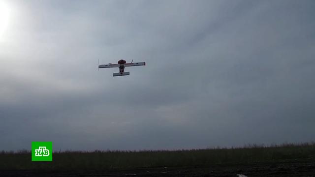 ���������� ����� ��������� ���� ������������ �&nbsp;������� ������������ �������.���, ���������� ��, �������, �������, ����� � ����������� ���������.���.Ru: �������, �����, ��������� ���������� ���