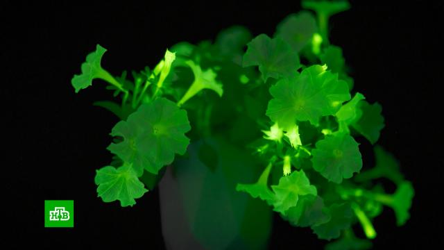 ���������� ������-�������� ���������� ���������� ��������.����� � ��������, ��������.���.Ru: �������, �����, ��������� ���������� ���