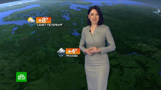 ������� ������ �� 29 ������.������, ������� ������.���.Ru: �������, �����, ��������� ���������� ���