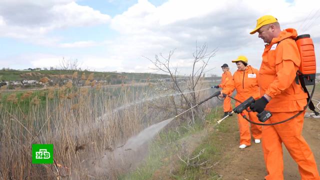 ���������: ���� ������ ��������� �������� � ������ ��������-������������.���������, ������ � ����������.���.Ru: �������, �����, ��������� ���������� ���