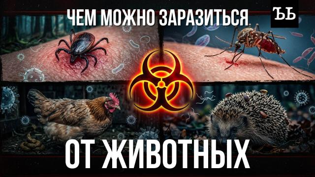 ��� ������� �������� ��������� �&nbsp;�����.��������������, ��������, ����� � ��������.���.Ru: �������, �����, ��������� ���������� ���