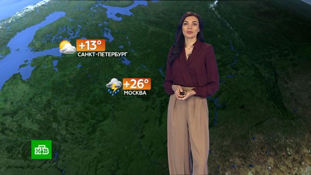 ������� ������ �� 6&nbsp;���.������, ������� ������.���.Ru: �������, �����, ��������� ���������� ���