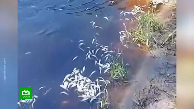 ������ ���������� ���������� ������� ���� � ����.������������� �������, ���� � �����, ���� � �����������, ��������.���.Ru: �������, �����, ��������� ���������� ���
