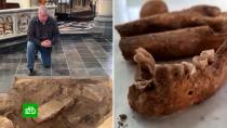 Археолог спрятал зубы д Археолог спрятал зубы д