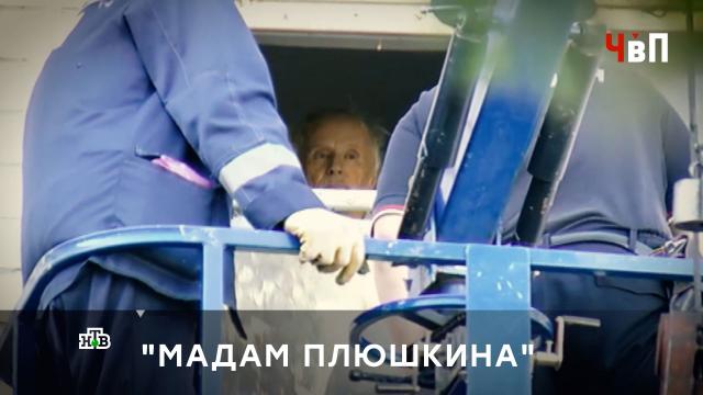 &laquo;�� ���� ��� ������ ������!&raquo;: ��������� �&nbsp;��������� �������� �������� �������.�����, �����, �����������, �������, �������������, ��������, ���������.���.Ru: �������, �����, ��������� ���������� ���