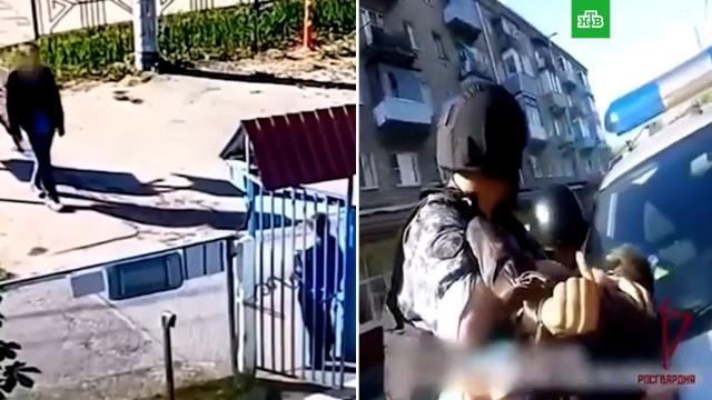 ���������� ���������� � ������������ ������ ��������� ������ ���� ��������.���������� �������, ����������.���.Ru: �������, �����, ��������� ���������� ���