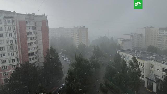 ������ �&nbsp;������ ��������� �� ������ �&nbsp;�����������.������, ���������� �������, ������.���.Ru: �������, �����, ��������� ���������� ���