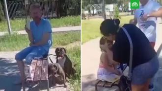 � ����������� �������� � �������� ������ ������ �� ��������� �������
