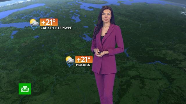 ������� ������ �� 26&nbsp;����.������, ������� ������.���.Ru: �������, �����, ��������� ���������� ���
