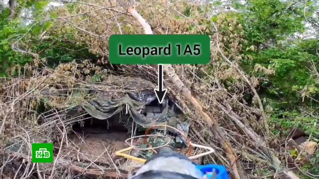 �&nbsp;�������������� ������� ���������� ���� ���������� ���������������&nbsp;Leopard.���, �������, ����� ����, ����� � ���� ��, ����� � ����������� ���������.���.Ru: �������, �����, ��������� ���������� ���