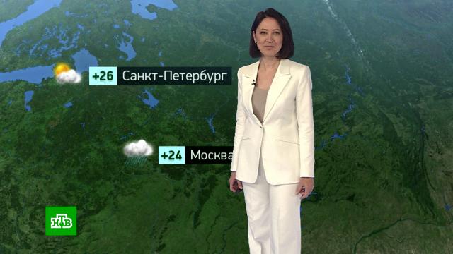�������� ������� ������ �� 29&nbsp;����.������, ������� ������.���.Ru: �������, �����, ��������� ���������� ���