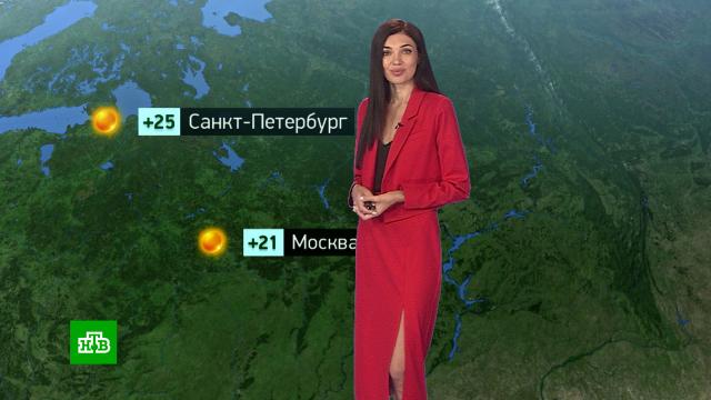 �������� ������� ������ �� 17&nbsp;����.������, ������� ������.���.Ru: �������, �����, ��������� ���������� ���
