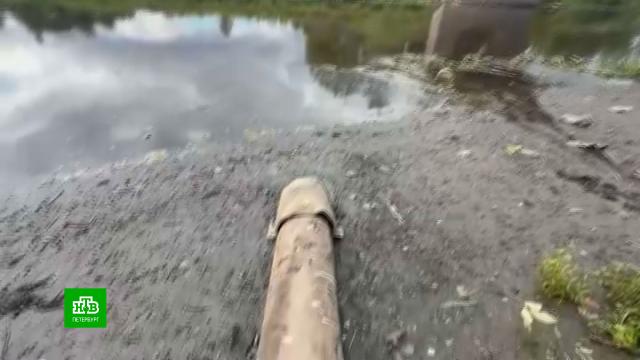 ���������� �����, ������ ���� � ������� ���� ���������� � ���� �����.�����-���������, ����������� ���������� �����, �������, ���� � �����.���.Ru: �������, �����, ��������� ���������� ���