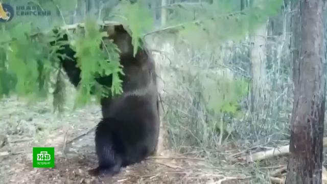 ������� �&nbsp;�����-�������� ����������� ������� ������������ ������-�����.������������� �������, �����������, ���, �������.���.Ru: �������, �����, ��������� ���������� ���