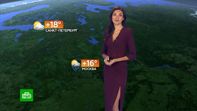 ������� ������ �� 13 �������.������, ������� ������.���.Ru: �������, �����, ��������� ���������� ���