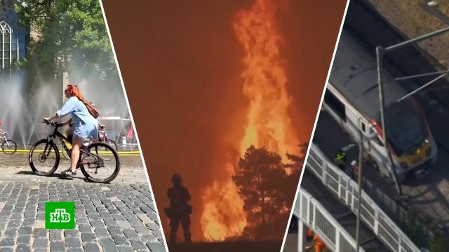 ������ �&nbsp;������ ��������� ������ ��� ���� �&nbsp;�������� ������ ����������.��������������, ������, ����, ��������� � ������.���.Ru: �������, �����, ��������� ���������� ���