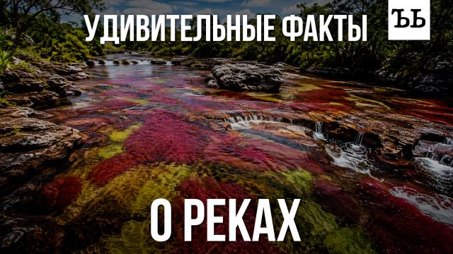 ����� ����: ���, ��� ����� ����� �&nbsp;�����.��������������, �������, ���� � �����.���.Ru: �������, �����, ��������� ���������� ���