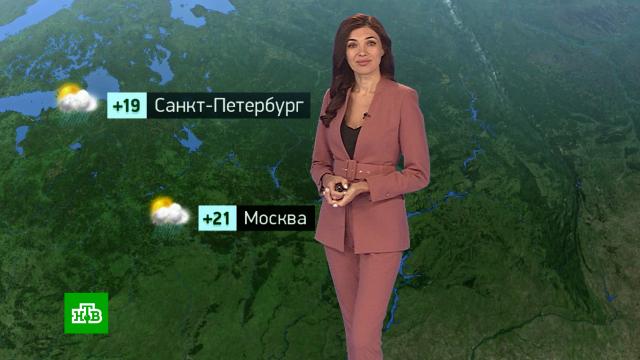 �������� ������� ������ �� 20&nbsp;�������.�������, ������� ������.���.Ru: �������, �����, ��������� ���������� ���
