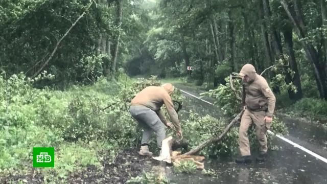 �&nbsp;�������� ������, ���������� �&nbsp;������ ������� �&nbsp;������������� ��������.�����, ����, ������, ������ � �������.���.Ru: �������, �����, ��������� ���������� ���