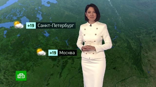 �������� ������� ������ �� 28&nbsp;�������.������, ������� ������.���.Ru: �������, �����, ��������� ���������� ���