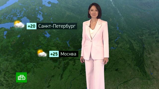 �������� ������� ������ �� 1&nbsp;��������.������, ������� ������.���.Ru: �������, �����, ��������� ���������� ���